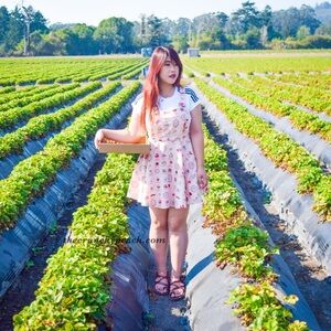 Rare Glitters For Dinner Macaron Cream Pinafore Skirt